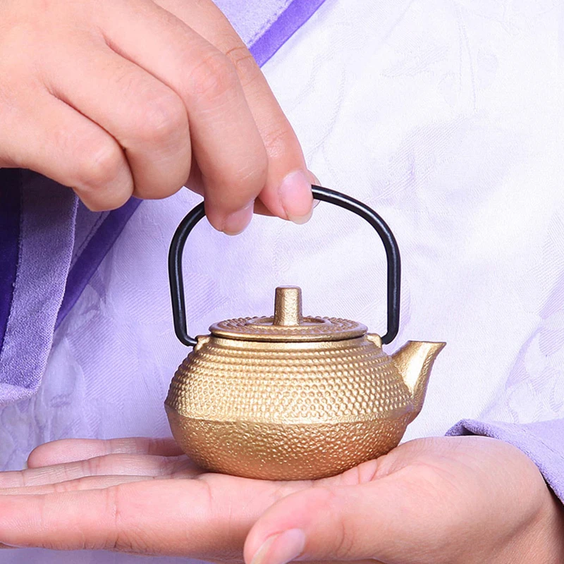 Mini Iron Kettle Pot 50ml/100ml Teapot Japanese Cast Iron Tea Pot Ornaments  Accessories