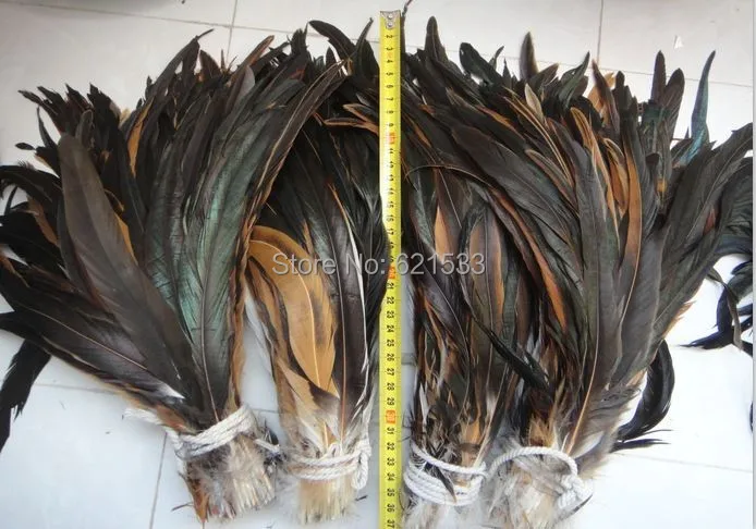 

200Pcs/Lot! 12-14inches 30-35cm Nature Colour Coque Rooster Tail Feathers for DIY Accessories Showgirl Carnival Costume