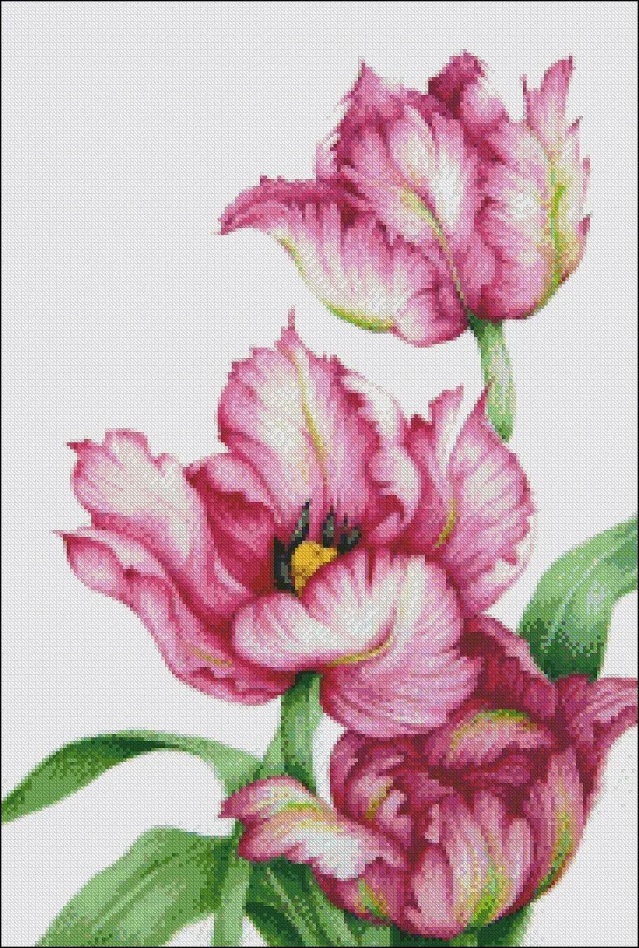 Embroidery Counted Cross Stitch Kits Needlework - Crafts 14 ct DMC color DIY Arts Handmade Decor - Red Parrot Tulips