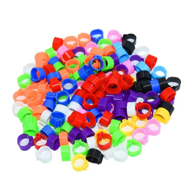 1000 pcs Pigeons Rings 8mm Bayonet Identification Ring Opening Pigeon Ring Color Pigeon Foot Ring Pigeon Training Supplies