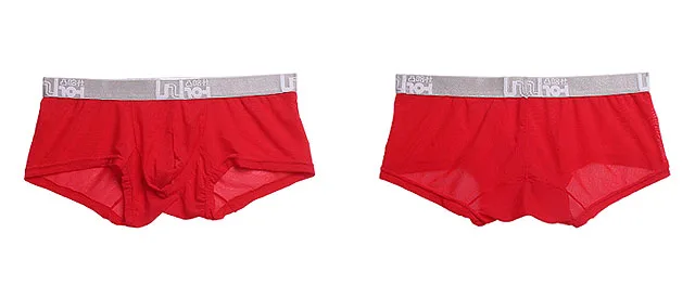 Sexy Men Underwear Mesh Boxer Shorts Breathable Transparent Underpants Mid-waist U Convex Pouch Panties Cueca calzoncillos M-XXL