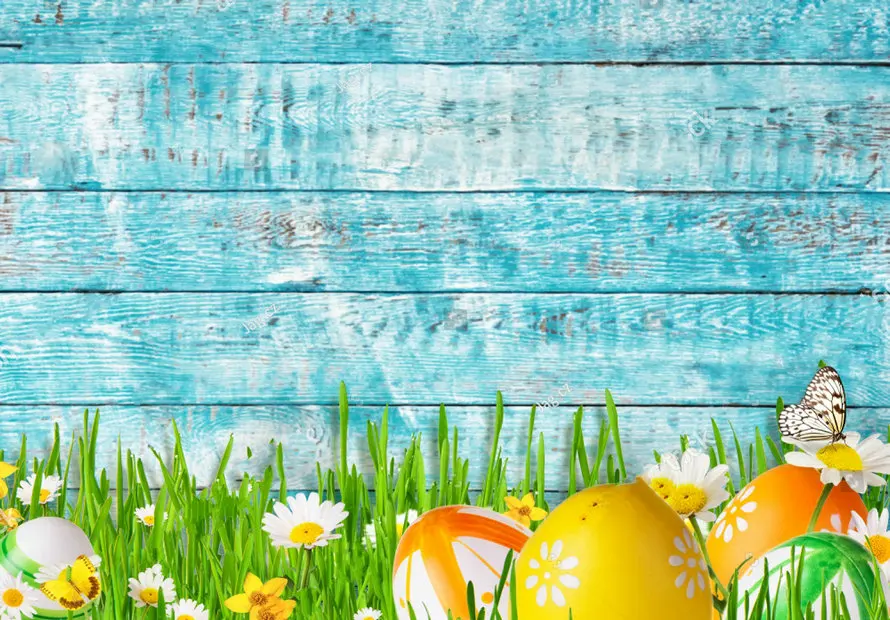 Wood Easter Egg Spring Meadow Butterflies Old Spring backdrops  Vinyl cloth High quality Computer print party background