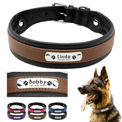 Collar de piel auténtica para perro grande, accesorio personalizado con identificación y nombre de Mascota, acolchado, para perros medianos y grandes