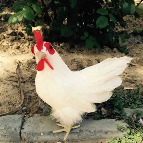 가짜 시뮬레이션 치킨 핸드메이드 공예/생생하고 사실적인 가정 또는 상점 장식으로 이상적 21*23 cm