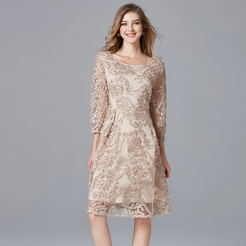 TAOYIZHUAI 2019 New Arrival Spring Summer Dress Plus Size Champagne Ladies Casual Lace A-Line Polyester Dresses For Women 14146