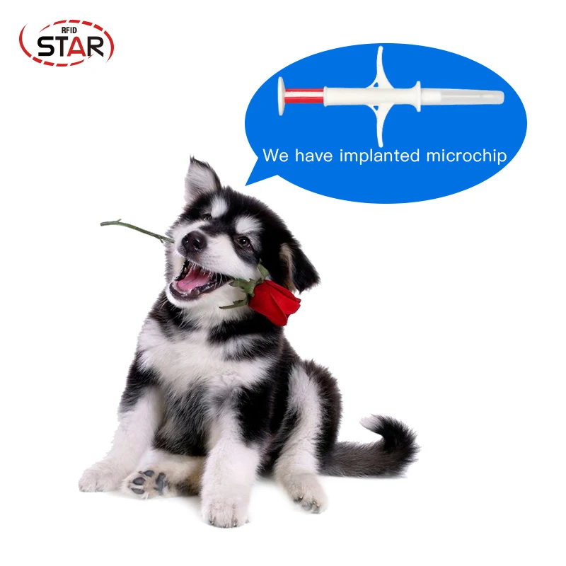 (100 قطعة/الوحدة) 1.4*8mm 134.2KHz الكلب RFID الزجاج رقاقة ل ل البقر القط كلب تحديد/تتبع رقاقة الحيوان Id حاقن