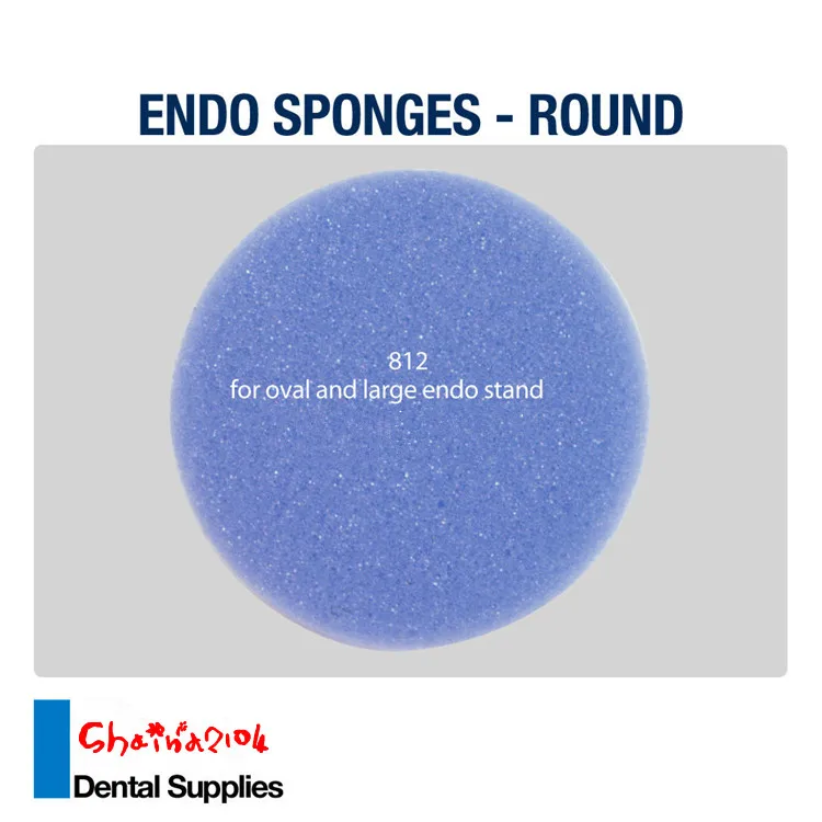 

Dental Endo files Sponges Round Large 250pcs