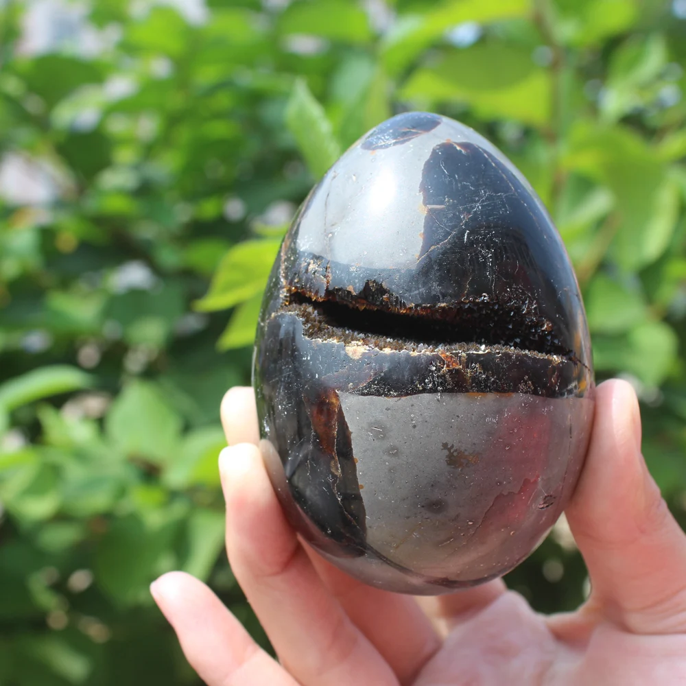 

420g Natural curvature of the furnishing articles Turtle grain stone egg Ball Septarian nodule Crystal Healing quartz 20