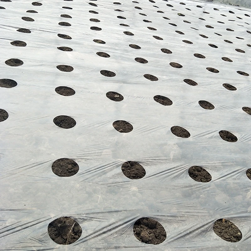 5M~50M 5Holes 95cm Width 0.02mm Black PE Film Garden Vegetable Membrane Agricultural Seeding Plastic Perforated Plants Mulching