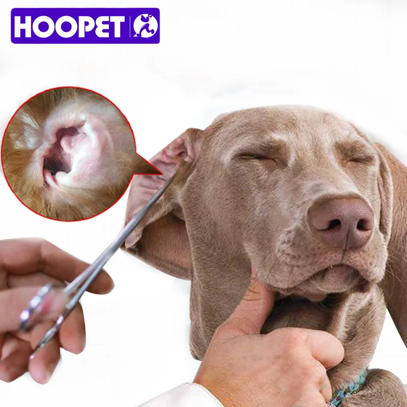 HOOPET Dog Pet Grooming Scissors Comb for Dogs Round Tips for Eye Ear Nose Hair Cut Cat Brush Comb Pet Supplies