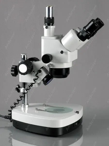 Zoom Microscope--AmScope Supplies 10x-40x Stereo Zoom Microscope + 3MP Camera