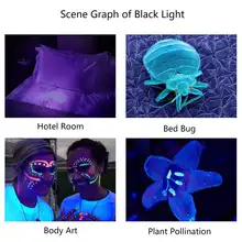 8000 Lumens UV LED Flashlight with Zoom #5