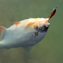 Fishing Jerkbait Minnow 100mm 10g #2