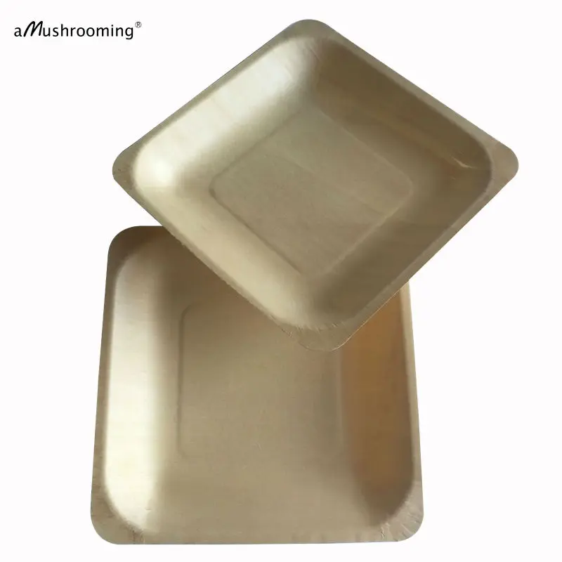 Plato Desechable Rectangular: La Opción Práctica y Sostenible para Tus Eventos