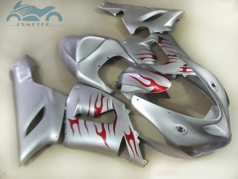 High quality Motorcycle fairings kit for KAWASAKI Ninja ZX 6R 2005 2006 sports fairing kits ZX6R 636 05 06 silver red flames