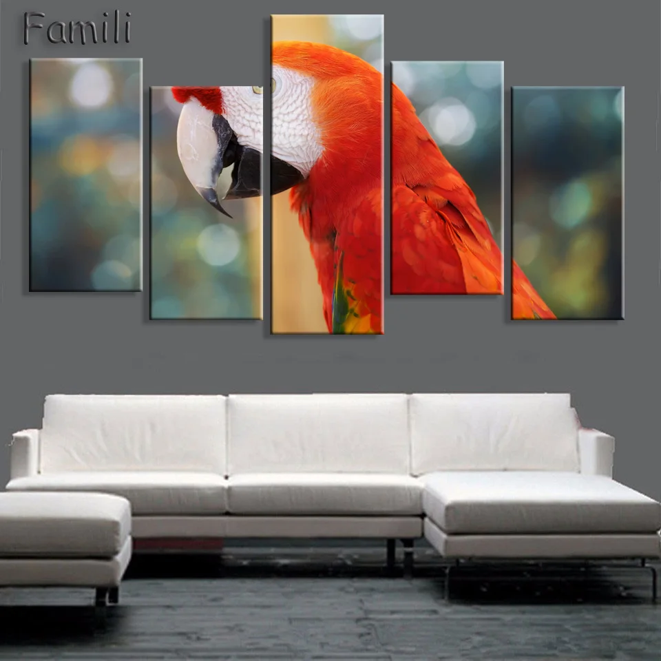 Modern Still Life Real animal canvas print birds world giant poster canvas painting home art pastoral picture,decorative picture