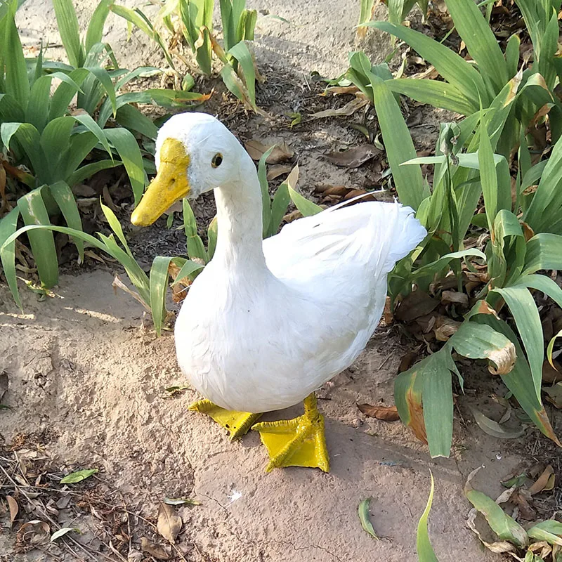 large 50x45cm white duck model foam&feathers simulation duck handicraft home garden decoration gift p0248