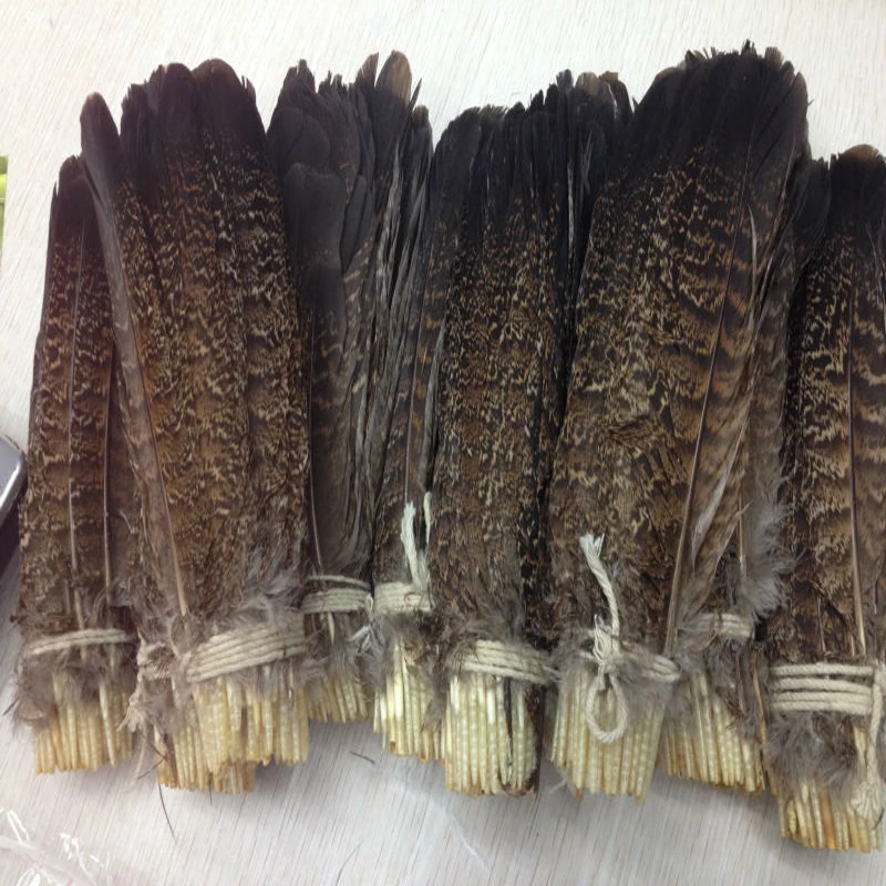 

Wholesale! 200 PCS precious USA wild turkey tail feathers 6-8 inches/ 15-20 cm