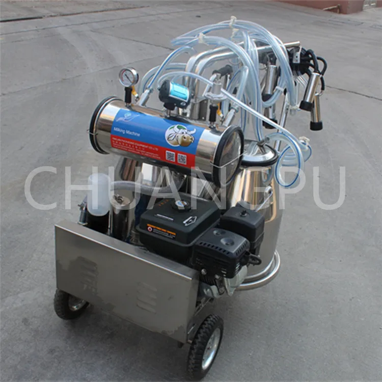 with single stainless steel milk bucket portable milking machine