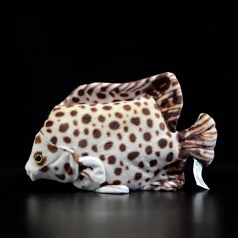 

Cute Tropical Fish Brown Scatophagus Argus Ornatus Marine Life Spotted Scat Simulation Sea Animal Plush Toy Kids Gift Collection