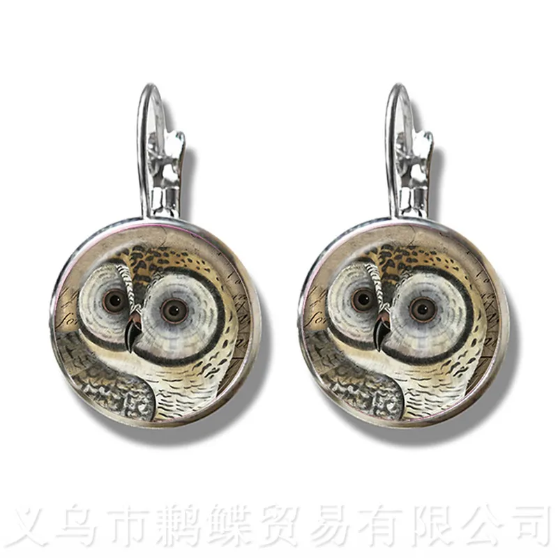 Owl Pattern Classic Stud Earrings Insect Art Picture 16mm Glass Cabochon Dome Silver Plated Earrings For Women Girls Gift