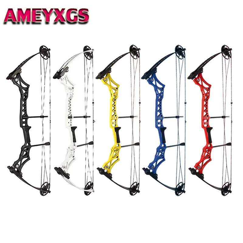 

Archery Compound Bow 30-55lbs High Precision Competition Practice Compound Bow For Outdoor Hunting Shooting Accessories