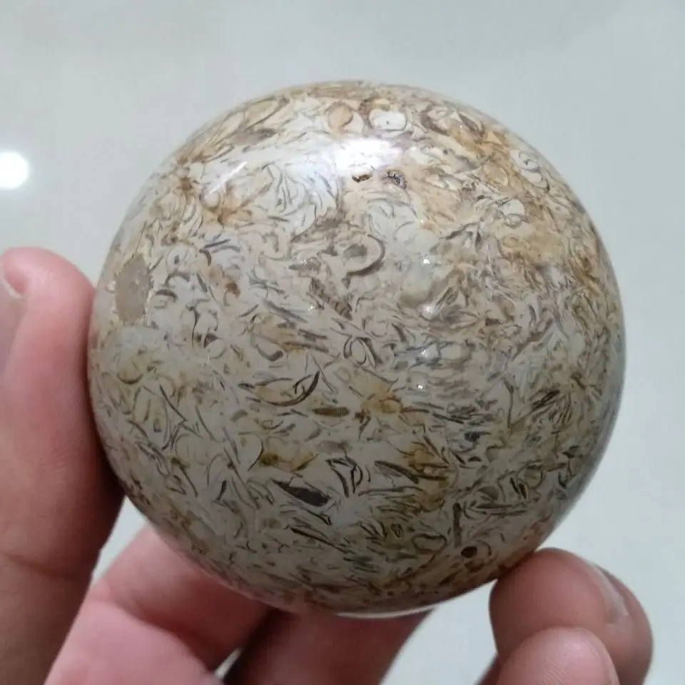 5-6cm Awesome! Dinosaur Bone Fossil Crystal Ball Sphere Madagascar
