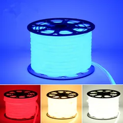 220V 230V Led Neon Rope Strip Ribbon Light Flexible Tape Waterproof IP65 With EU Power Plug RGB White Blue Green Red Pink Yellow