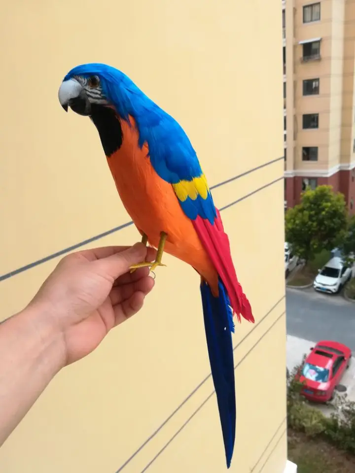 new simulation blue&orange parrot model foam&feathers parrot toy about 42cm