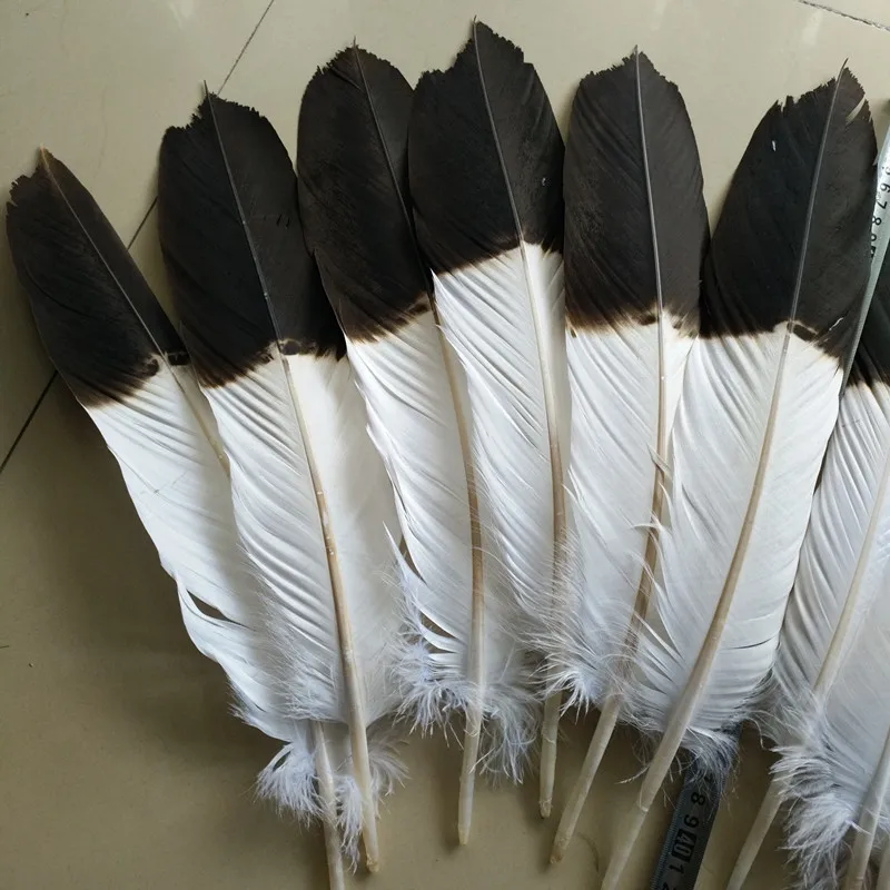 Wholesale 12pcs (1set) complete natural  eagle tail feather 40-45 cm / 16-18 inch DIY collection production process fan