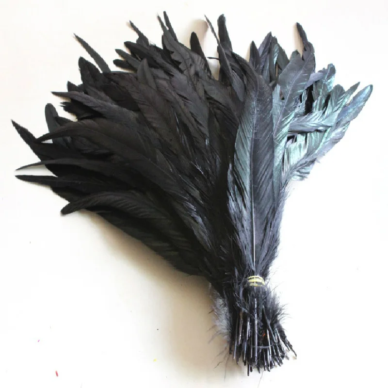 

Wholesale 500PCS Black Rooster Tail Feathers 30-35 cm / 12-14 inches