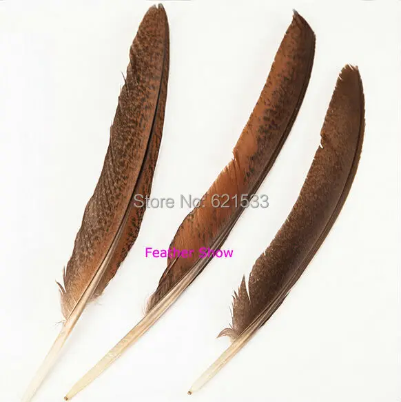 

50Pcs/LOT!8-12" 20-30cm long Natural Chestnut Brown&Black Peacock Flight Quill Feathers-Cruelty Free-Humane-Craft Accessories