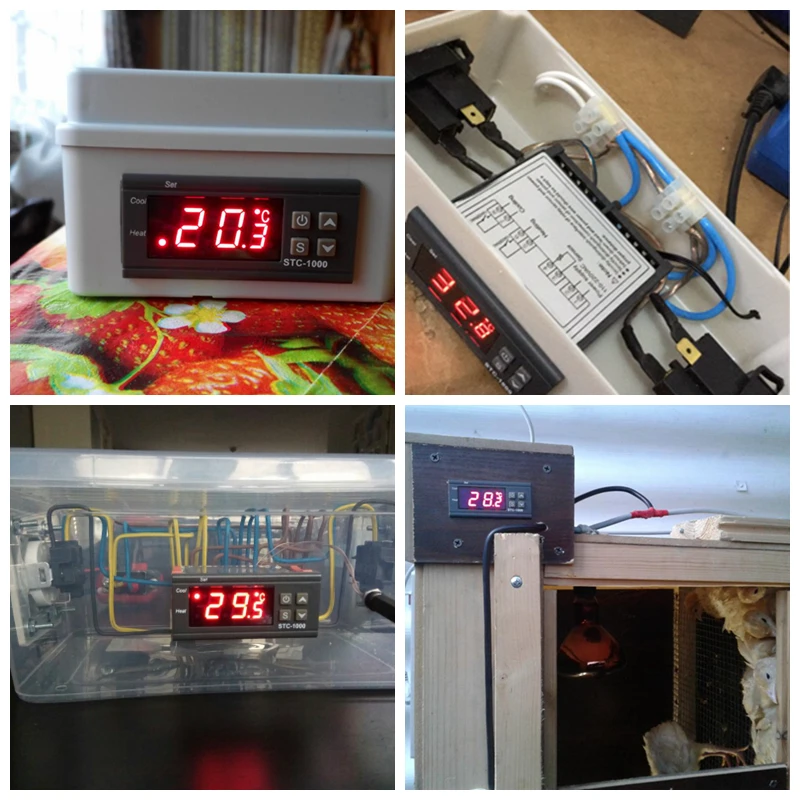10A Relay Thermostat for Incubator 110~220VAC 12V 24V Digital Temperature Regulator Controller Two Relay Output Thermoregulator