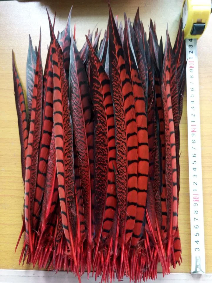 Wholesale 10 / lot 30-35cm red Natural pheasant feather, DIY jewelry decoration