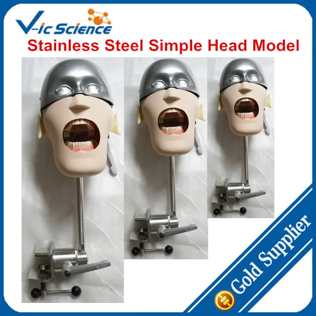 Nuovo Modello In Acciaio Inox Semplice Modello di Testa