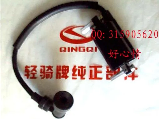 NEW free shipping Jinan qingqi tibetan QM200GY ignition coil hooded for suzuki gxt200 dr200 parts