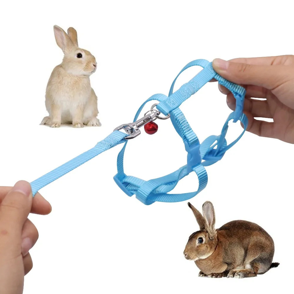 1 Pcs Pet rabbit leash 123cm Pet rope Rabbit chain traction rope Bunny walking Rabbit rope traction belt Pet feeding supplies