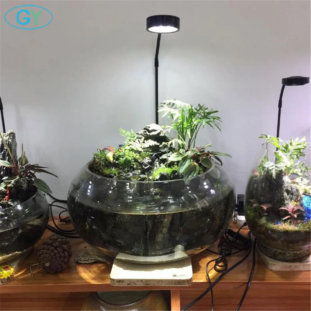 Dimmable 5W USB Gooseneck led plant landscape lights black LED Aquarium lighting 6000K Aquatic plant lights Eco-bottle lights