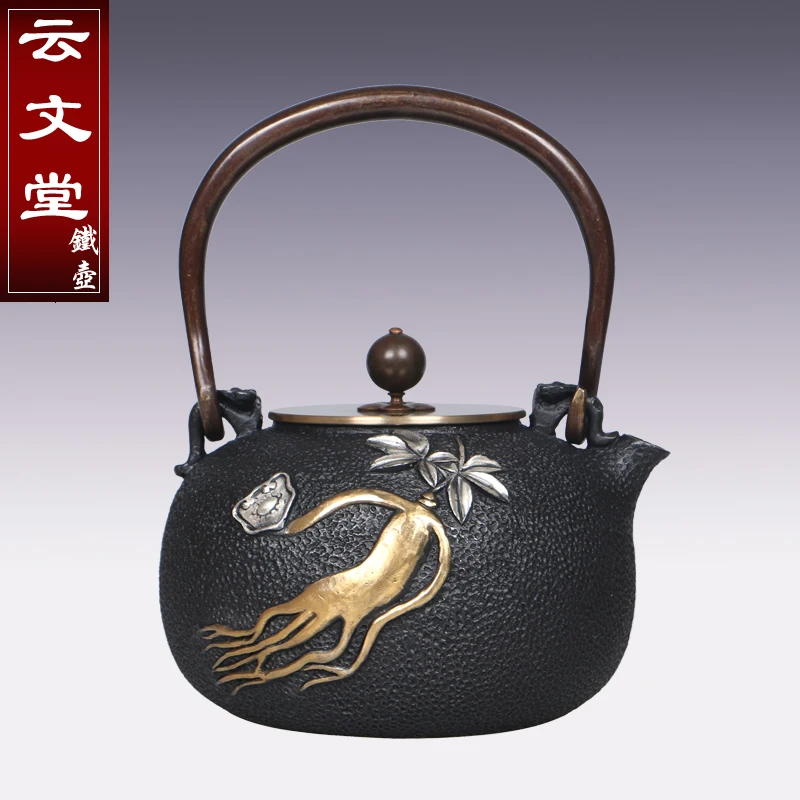 1.2L  2Styles Golden Reliefs Uncoated Cast Iron Teapot Kung Fu Tea Set Boil Kettle Special Decoration