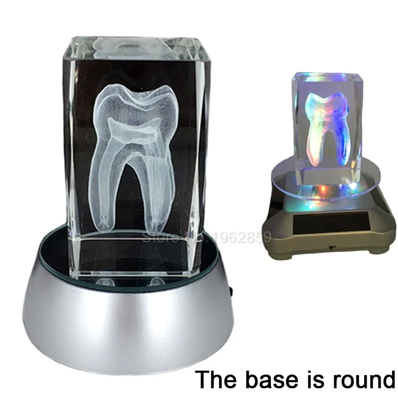 Dental 3D Tooth Model Clear Crystal Stand With LED Lamp Character Teeth Colorful Child Oral Souvenir Gift Decorarion