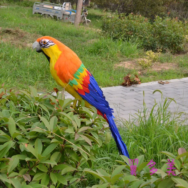 

large 60cm colourful feathers parrot Handmade model,polyethylene& feathers parrot hall decoration toy Xmas gift w3972