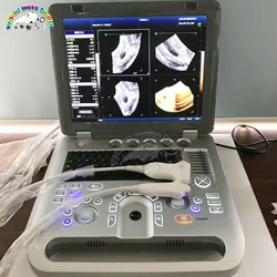 3D Color Doppler Ultrasound Machine for Dog Cat Animals 128G Portable Ultrasound Equipment Veterinary Ultrasound Scanner