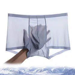 Boxer Mens Male Underwear Summer Ice Silk Thin Men Boxer Men's Sexy Underpants For Men Panties Transparent Breathable Shorts