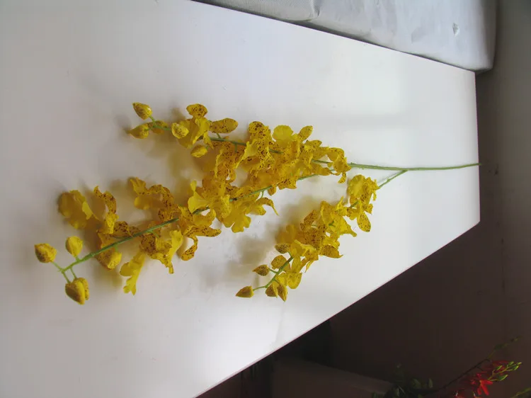 [Angebote] hohe niederlassungen simulation gelb Oncidium orchidee blume dance