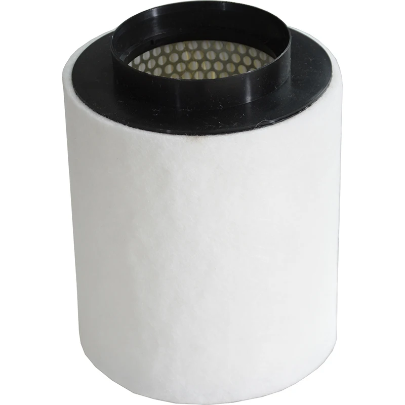 

Car Air Filter for Audi A8 4.2TDI 2002-2006 2007 2008 2009 2010 A8L 2.0T 2.5L 3.0T 3.0T 4.0T 2010- S8 4.0TFSI 2012- 4H0129620DL
