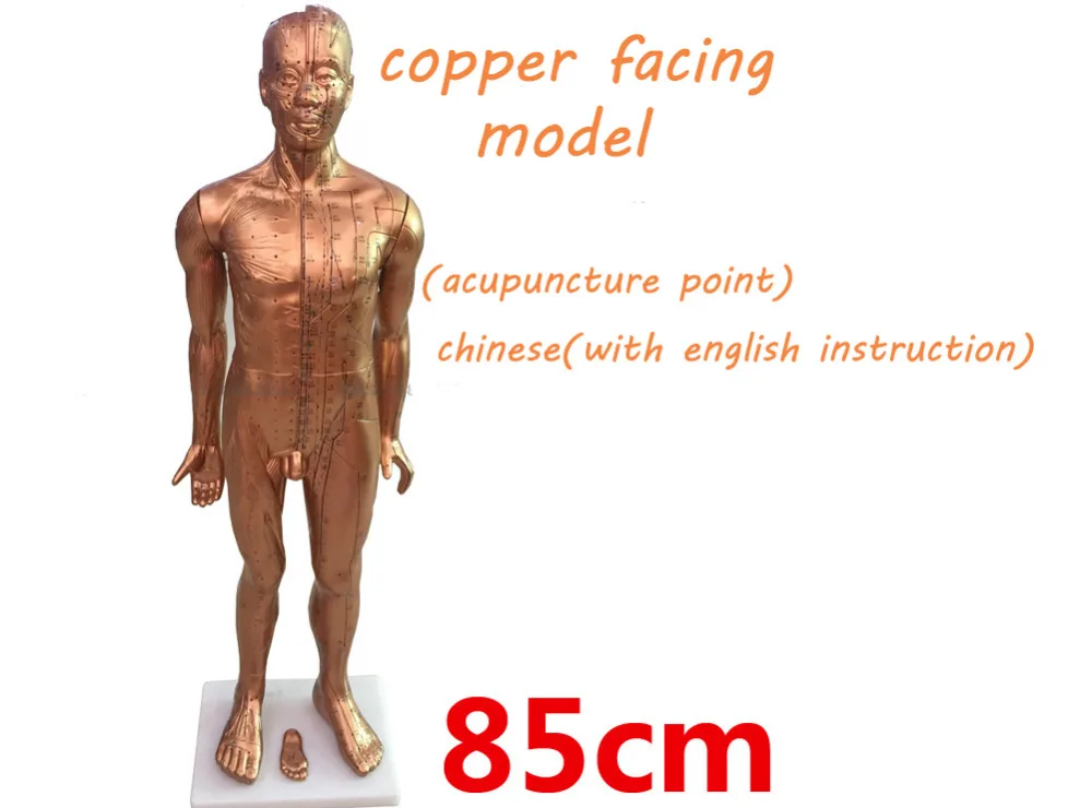 copper colour electroplating PVC plastic teaching acupuncture point model traditional Chinese medical body 85cm human model