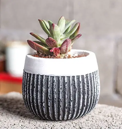 

Mold Silicone 3d Vase Multi - Meat Plant Cement Flower Pots Vertical Stripes Mould Pots Ceramic European Silicone Rubber PRZY