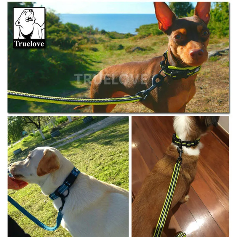 Truelove Einfach Auf Haustier Hund Halsband Und Leine Set Nylon Padded Adjustabele Reflektierende Für Small Medium Large Hunde Training Walking