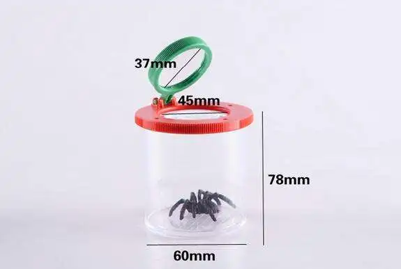 

Insect Watcher With Magnifying Glass Lens Toys Children Teaching Science Kindergarten District Exploring Ability Developing