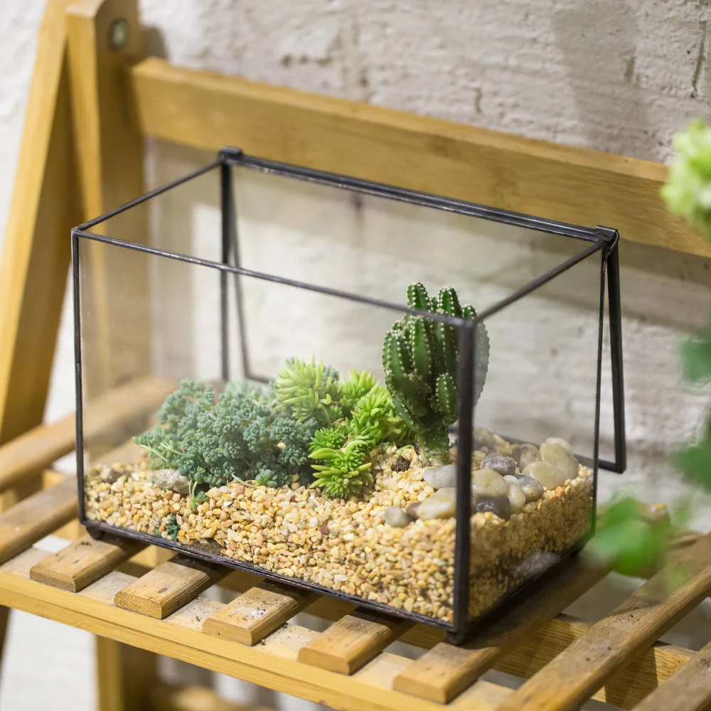 NCYP Rectangle Clear Glass Geometric Terrarium Box Indoor Tabletop Micro Landscape Succulents Fern Moss Plant Flower Pot Planter